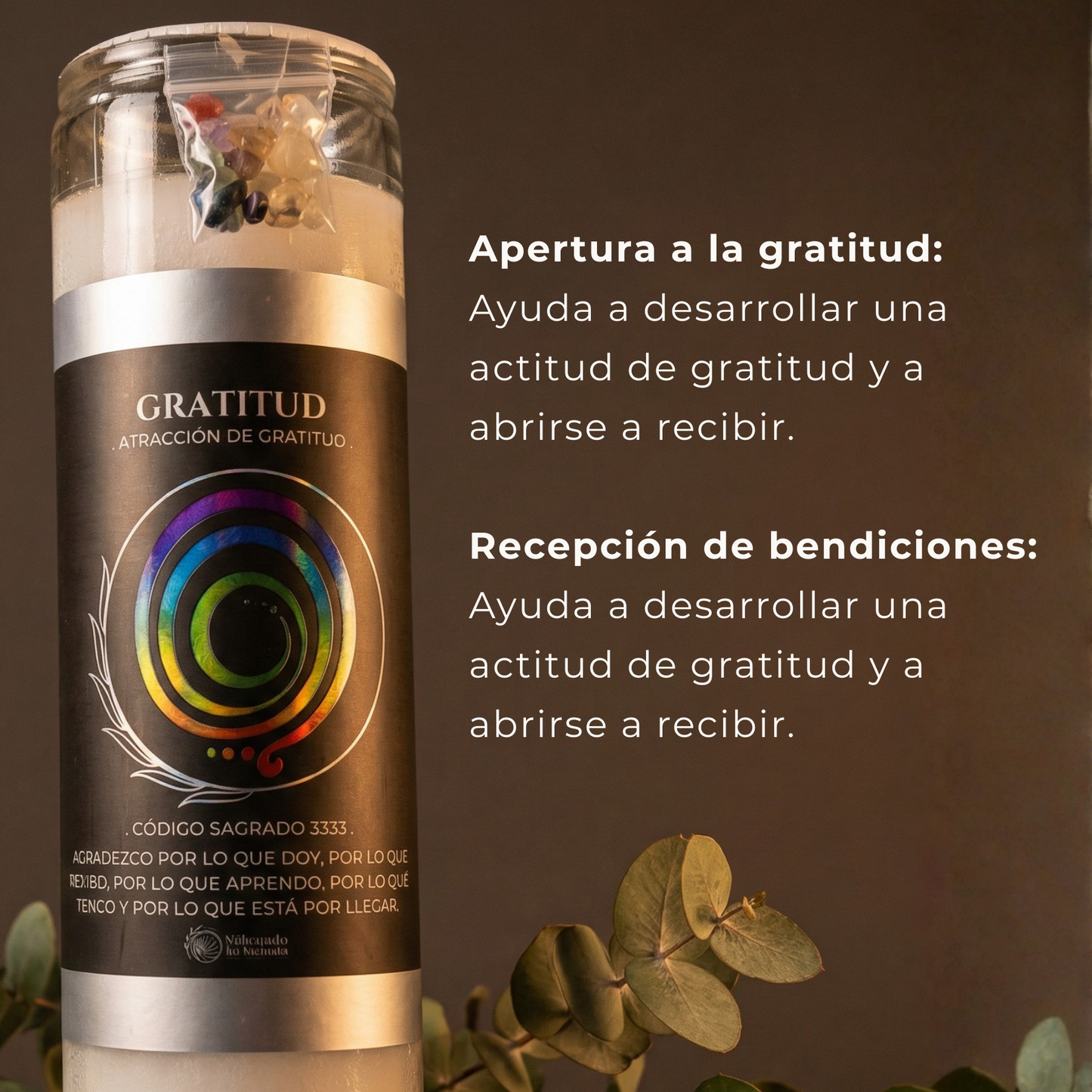 Kit Abundancia y Prosperidad